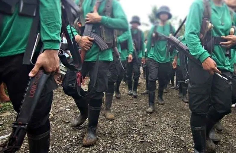 Former rebels to receive aid from DSWD