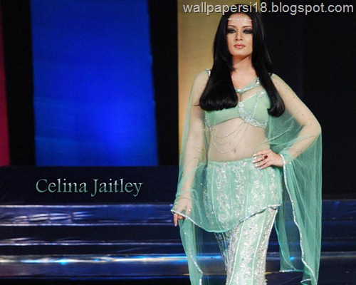 Celina Jaitley Saree Wallpapers 