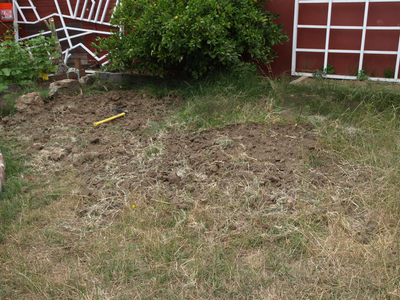 The Saga Of The Backyard Dirt