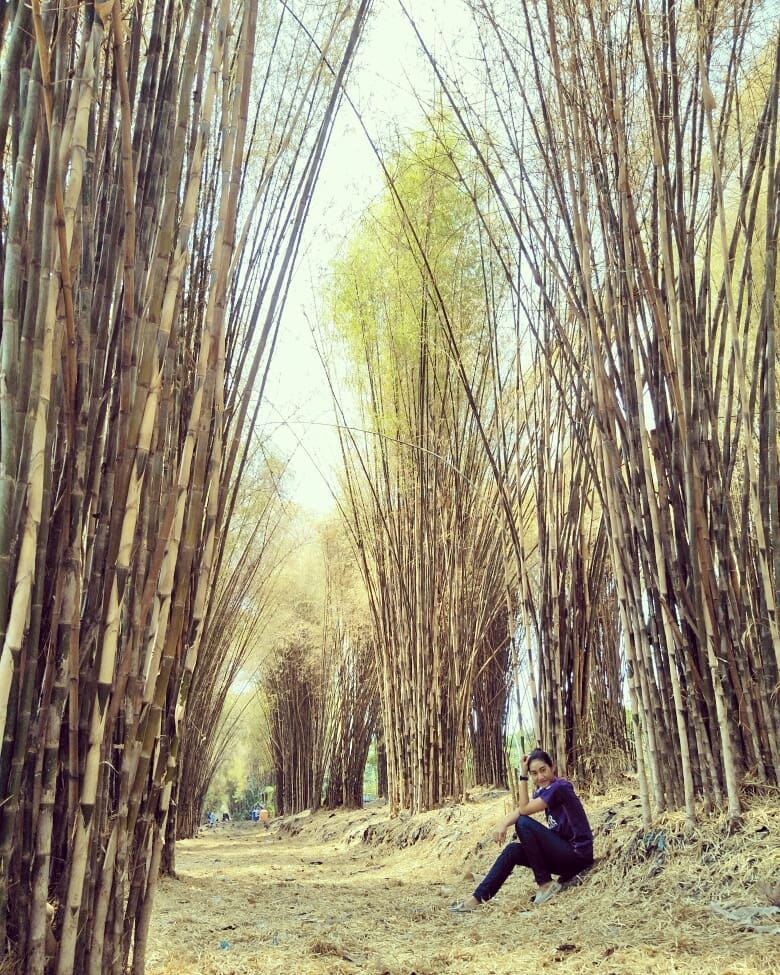 Hutan Bambu Wisata Baru Di Kota Bekasi