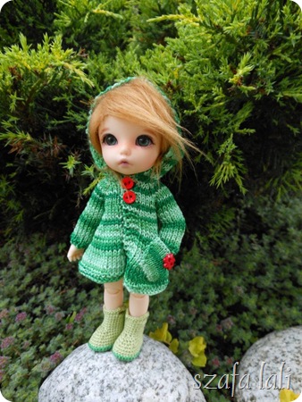 DSCN0935
