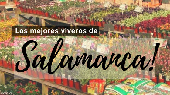 Comprar Plantas Online en Salamanca
