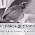 Dichoso Fui La Leyenda del Pájaro Con Ese Canto en El Salvador