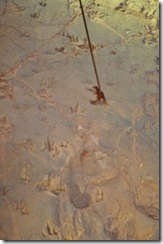 Lake Quarry