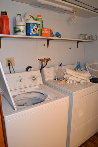 Basement Bathroom 3