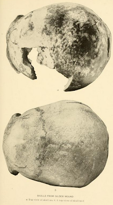 skulls of Nebraska loess man