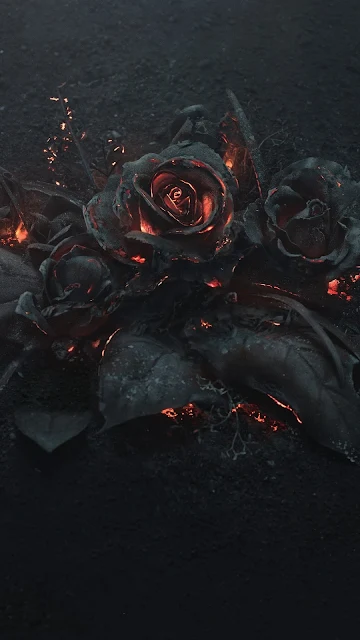 Burning Roses iphone hd wallpaper