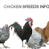 ΑΡΧΙΚΗ