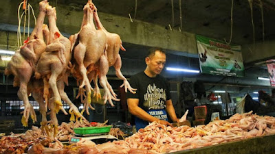 Disperindag Terus Pantau Harga Ayam Potong Lobi Pusat, Siapkan Operasi Pasar