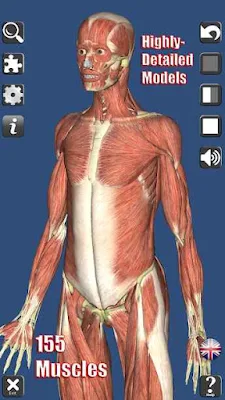 Visual Anatomy 3D | Human for Android