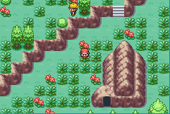 pokemon delta emerald screenshot 4