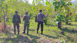 Cegah Pembalakan Liar, Tim Gabungan Patroli di Hutan Taman Nasional Baluran Situbondo