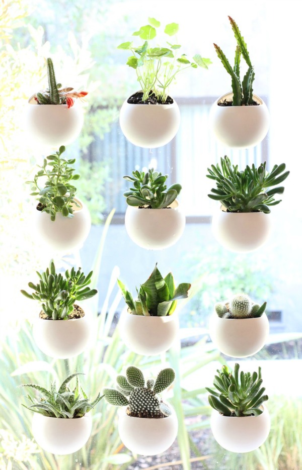  Small  Space House  Plant  Display Ideas COZY LITTLE  HOUSE 