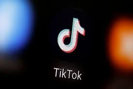 France bans TikTok on work phones for civil servants