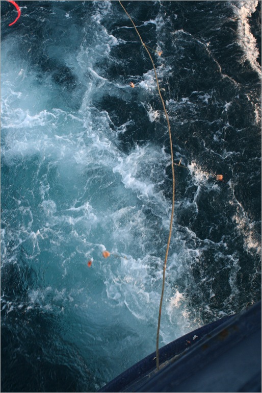 this is the gournd line coming out from the stern of the boat. we were using squid for bait. 