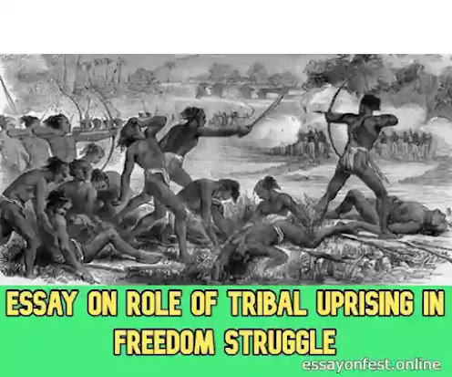 Essay on Role of Tribal Uprising in