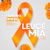 Fevereiro laranja - mês de conscientização sobre a leucemia