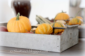 Galvanized Tool Tote