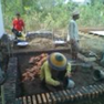 View album