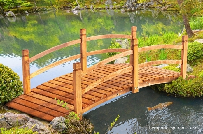 Puente de madera sobre el arrollo