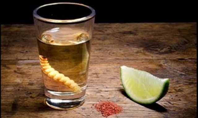 El mezcal no provoca cruda y es la bebida “perfecta” para el consumo humano