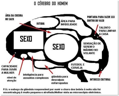 segunda 2