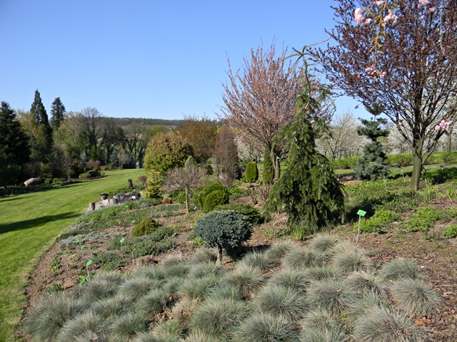 Arboretum w Wojsławicach jest bardzo gustownie urządzone. 