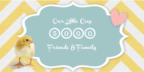 our little coop 5,000 facebook fans mann pro poultry giveaway 