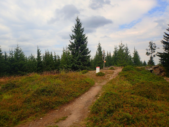 Wierzchołek Kowadła (989 m n.p.m.)