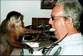 The top 10 Famous Monkeys in Science Seen On Coolpicturegallery.blogspot.com