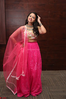 Geethanjali sizzles in Pink at Mixture Potlam Movie Audio Launch 029.JPG