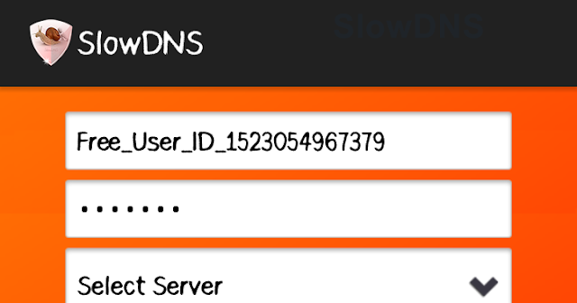 تحميل برنامج slow dns مجانا برابط مباشر للأندرويد