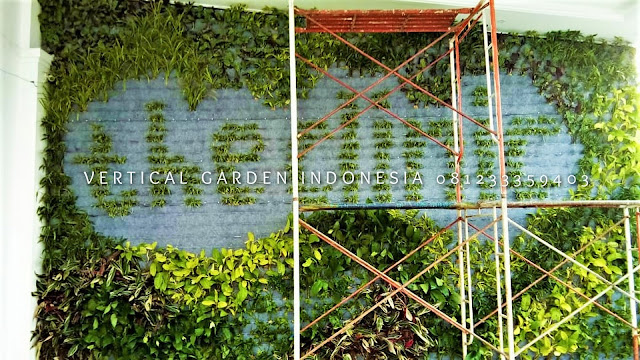 VERTICAL GARDEN INDONESIA SPESIALIS JASA PEMBUATAN VERTICAL GARDEN DI SALATIGA JAWA TENGAH DAN DI SELURUH WILAYAH JAWA TENGAH DENGAN TENAGA YANG PROFESIONAL DAN DAPAT DI PERCAYA YANG SELALU MENGUTAMAKAN SEBUAH MUTU DAN KUALITAS PEMASANGAN VERTICAL GARDEN/TAMAN DINDING, JASA TUKANG TAMAN VERTICAL SALATIGA JAWA TENGAH, JASA VERTICAL GARDEN SALATIGA JAWA TENGAH,