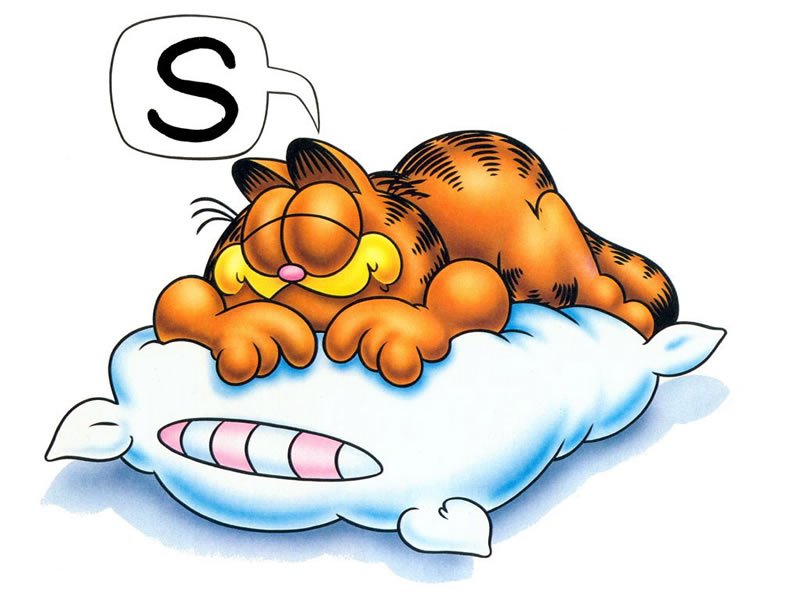 The Need for Sleep