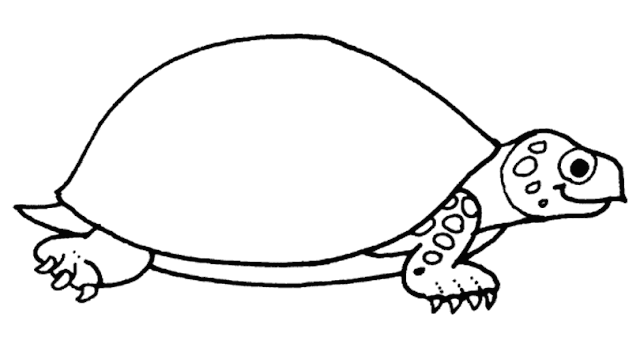 turtle free printable coloring pages coloring.filminspector.com