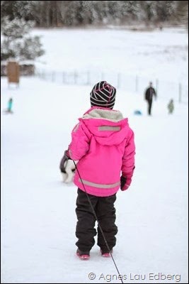 IMG_2006