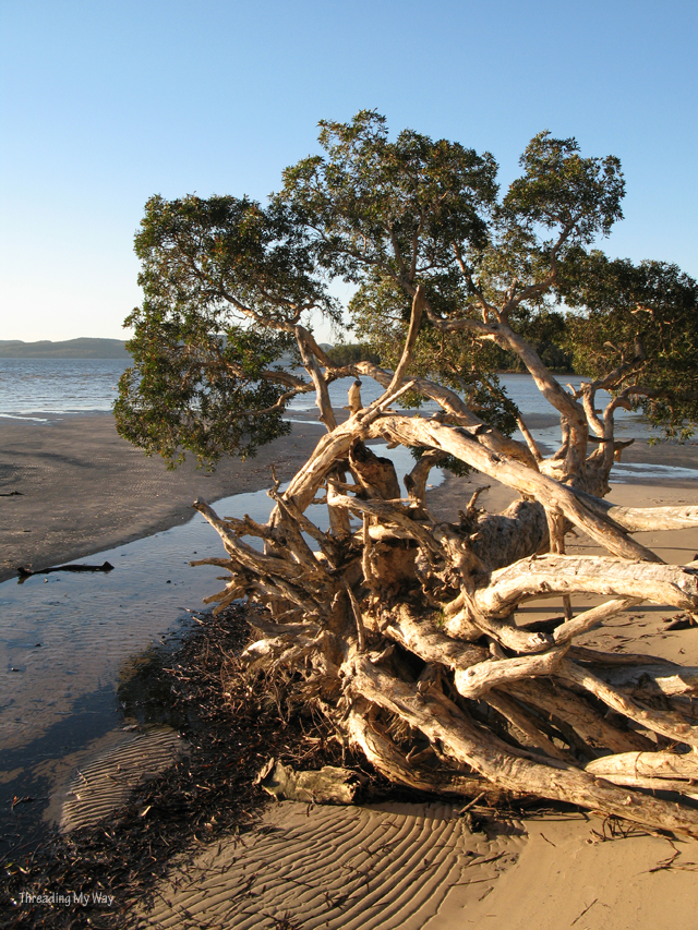 Nelson Bay Holiday Destination... on the southern shores of Port Stephens ~ Threading My Way