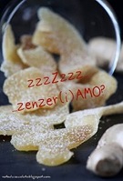 banner zenzero 2