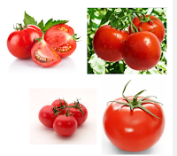 manfaat tomat untuk kesehatan, kecantikan dan rambut
