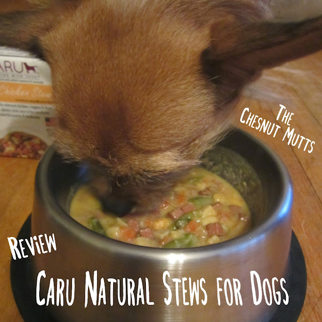 The Chesnut Mutts Review: Caru Natural Stews for Dogs