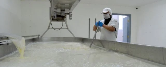 Recepción de leche anota crecimiento de 4,3% en Los Lagos