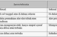 19+ Top Terbaru Perbedaan Vertebrata Dan Avertebrata Kelas 5 Sd