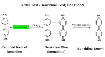 Alder Test (Benzidine Test)