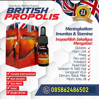 Obat Tuberkulosis Ampuh Dengan British Propolis | Agen British Propolis (0858-6248-6502 WA)