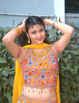 south indian actress nicole