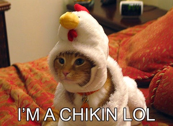 im-a-chikin-lol