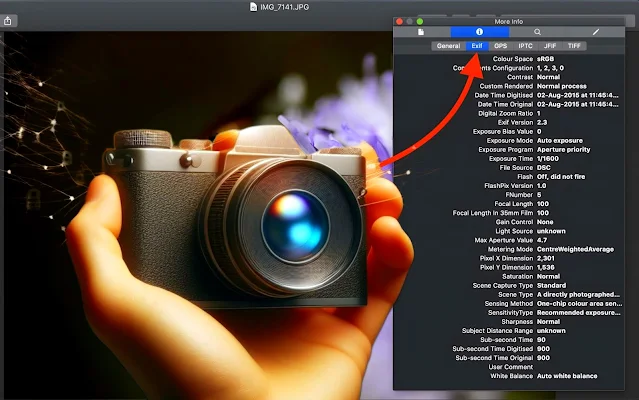 Learn about EXIF data and how to remove metadata from photos: a comprehensive guide