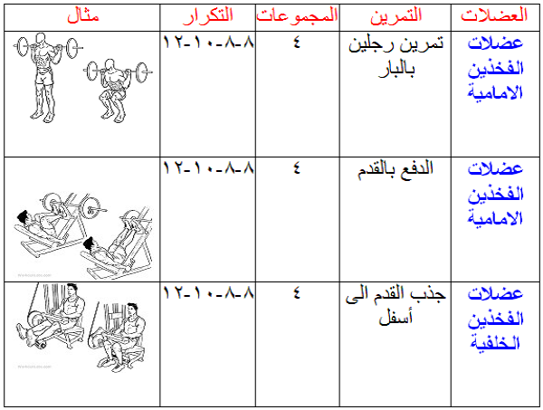 برنامج تدريب جيم للمبتدئين