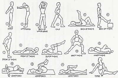 easy stretches,back pain stretches,safe stretch,stretch