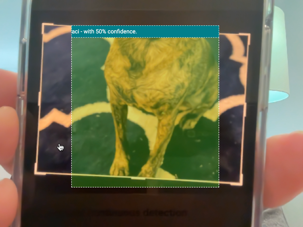Bild, das einen Teil des Fotos des Hundes des Autors zeigt, der vom Modell mit 50 %iger Sicherheit erkannt wird